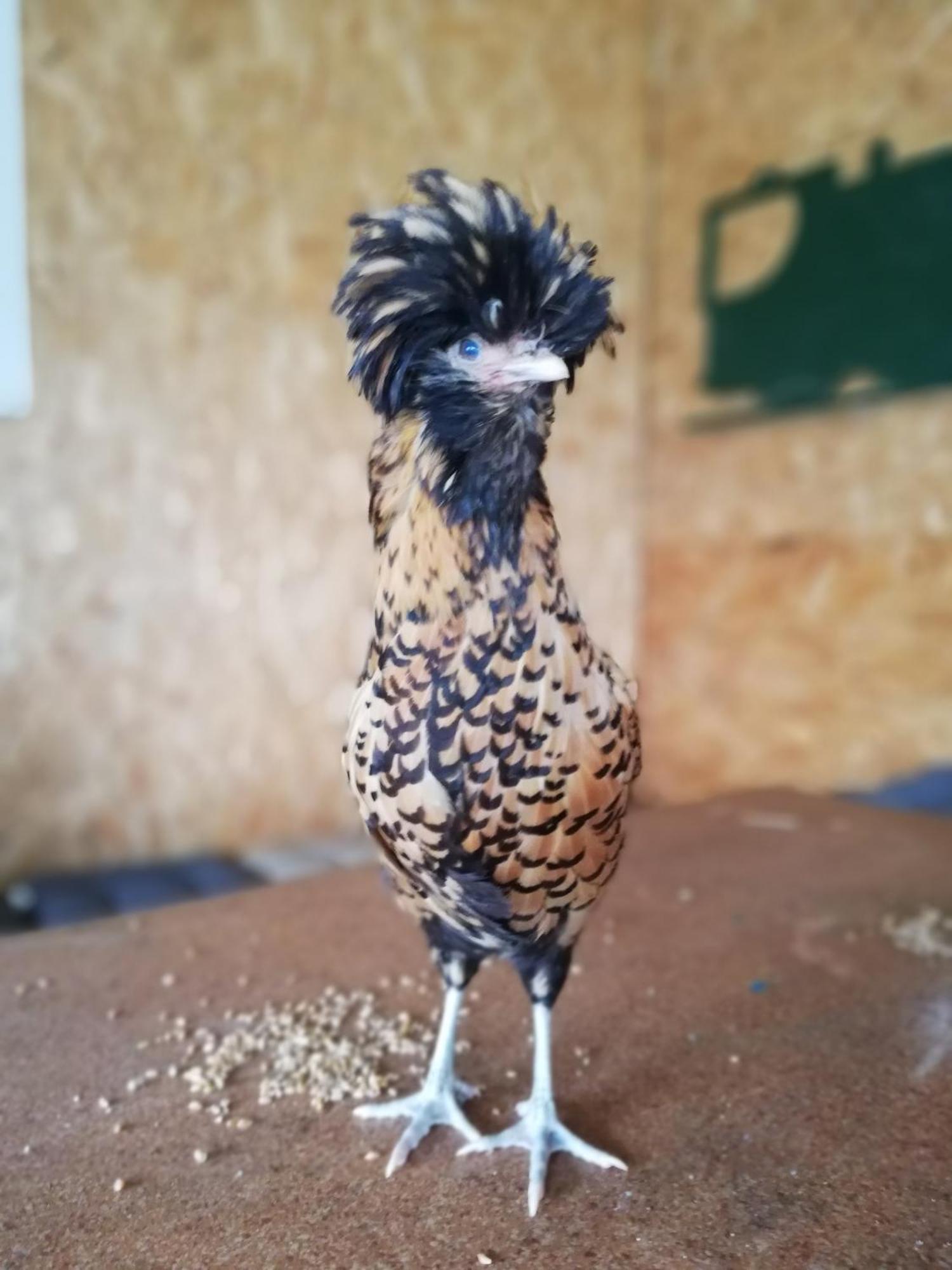 Gite Les Anes De Medeina Ingrannes المظهر الخارجي الصورة